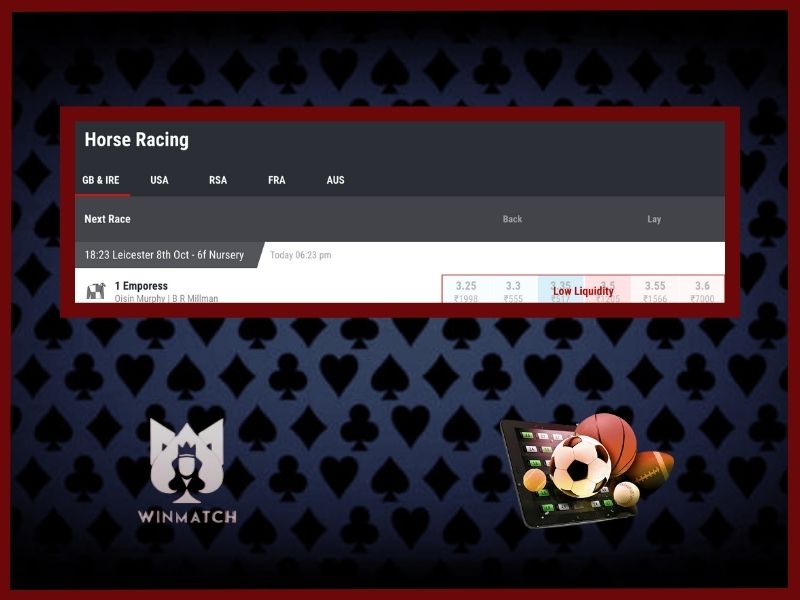 Horse racing bets on WinMatch sportsbook